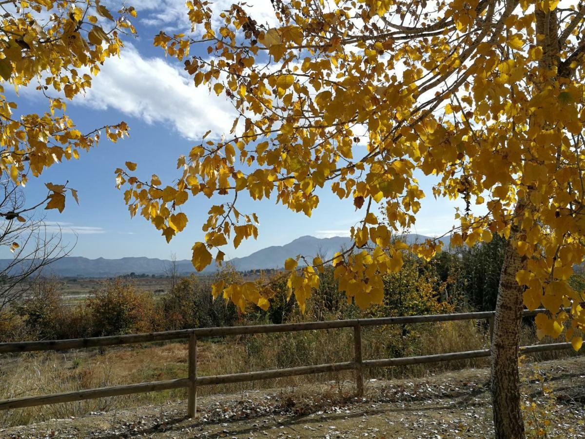 Benissuera Casa Rural L'Avia Tica 게스트하우스 외부 사진